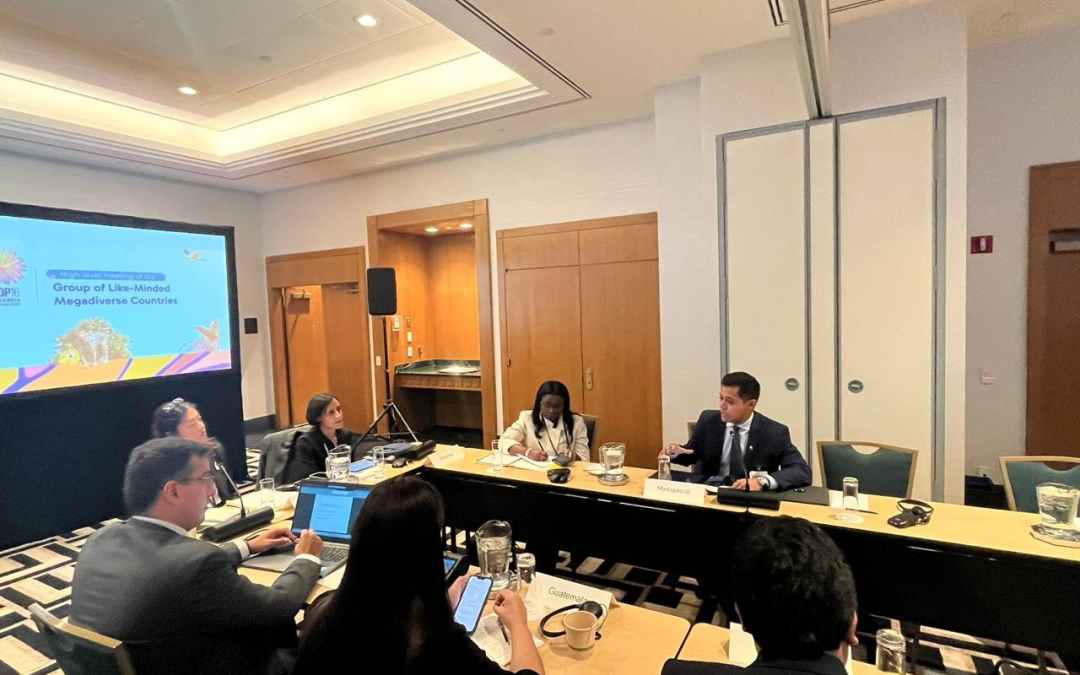 𝗥𝗲́𝘂𝗻𝗶𝗼𝗻 𝗱𝘂 𝗚𝗿𝗼𝘂𝗽𝗲 𝗱𝗲𝘀 𝗣𝗮𝘆𝘀 𝗠𝗲́𝗴𝗮𝗱𝗶𝘃𝗲𝗿𝘀 𝗮̀ 𝗡𝗲𝘄 𝗬𝗼𝗿𝗸.